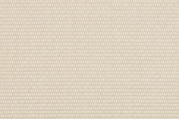 Foto av Pergamino (1741)