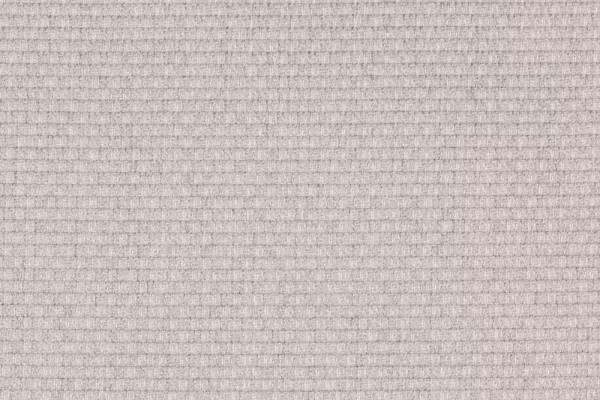 Foto av Gris Porcelana (20067)