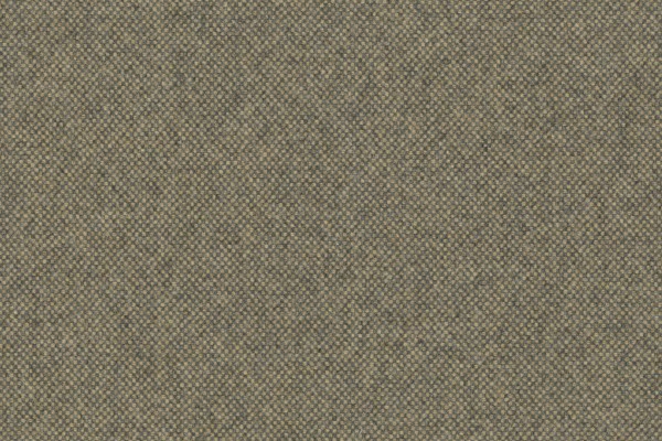 Foto av Brindle (021)