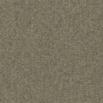 Foto av Brindle (021)