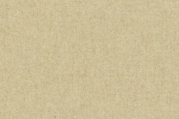 Foto av Tapioca (03)