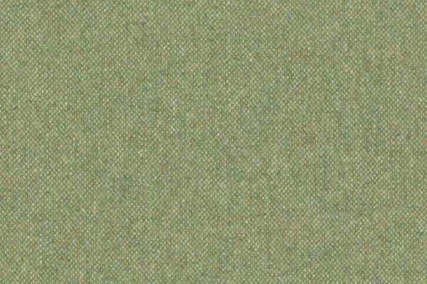 Foto av Tendril (13)