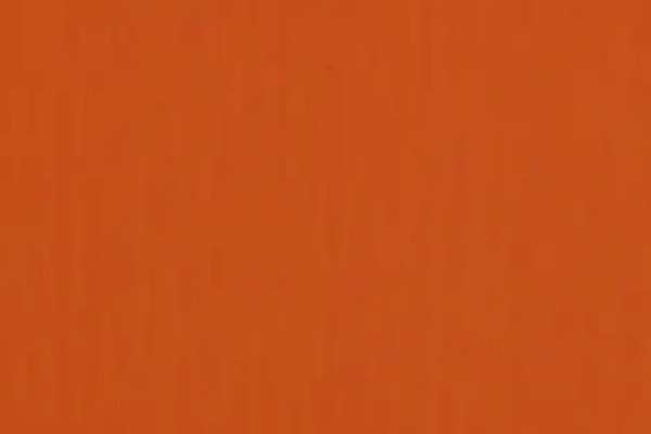 Foto av Pumpkin (3969)