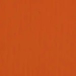 Foto av Pumpkin (3969)